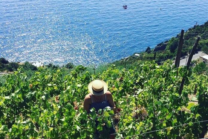 Refuge Uwabio Organic Vineyard Cinqueterre Villa Riomaggiore Eksteriør bilde